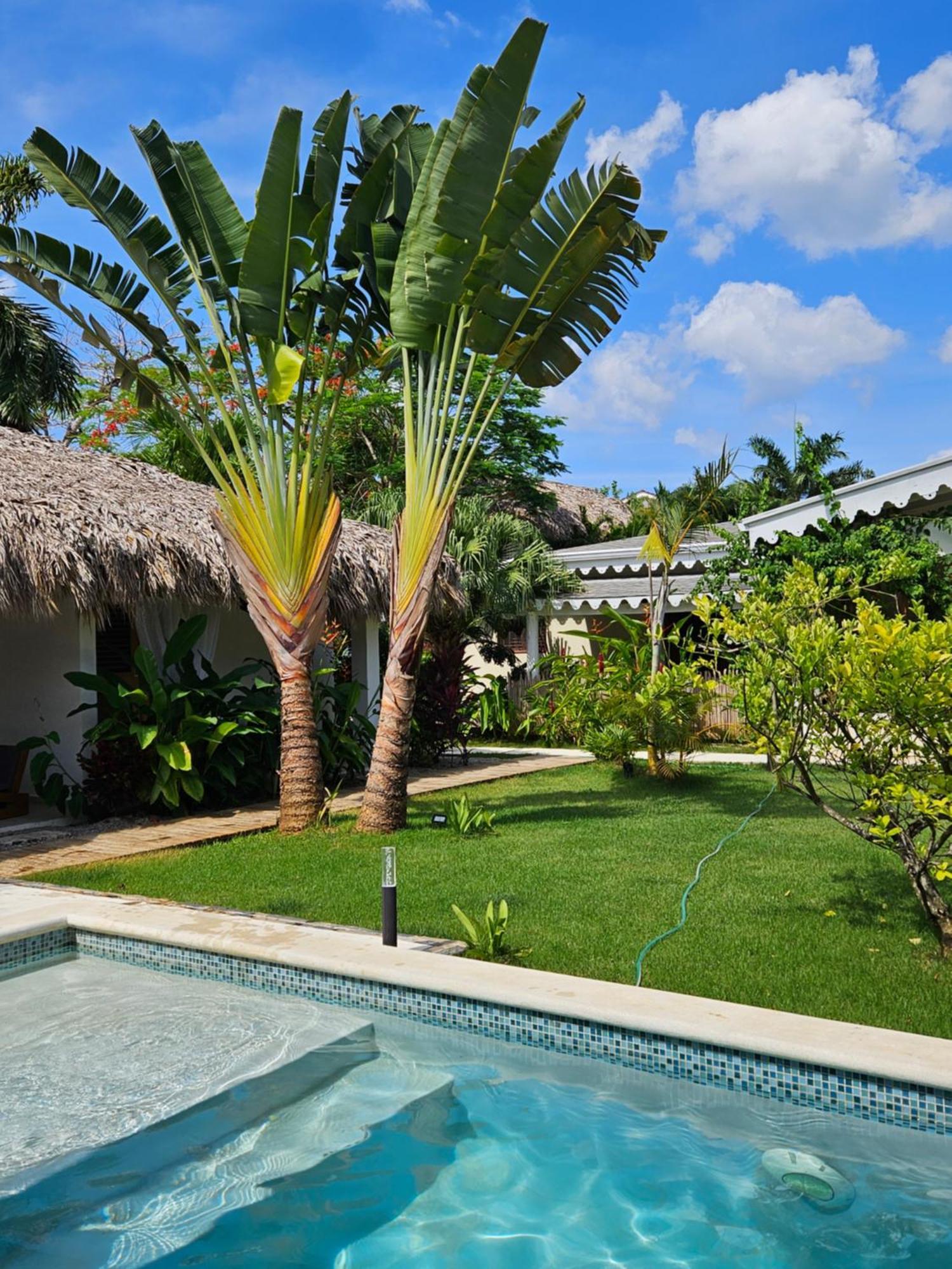 Casa Shambala B&B Las Terrenas Exterior photo